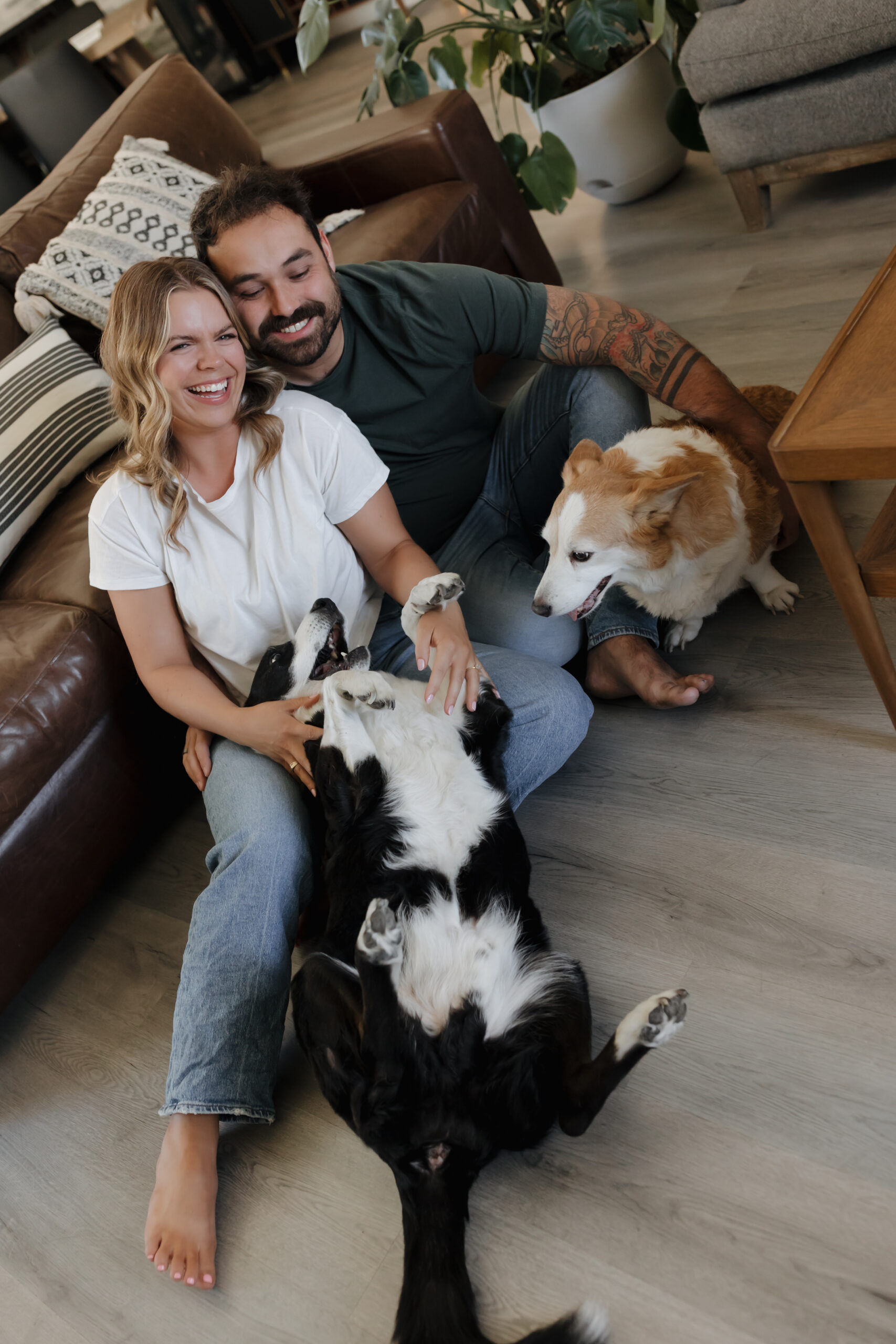 in home couples photoshoot with two dogs